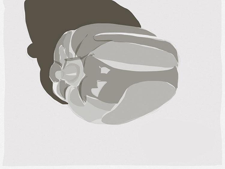 /2013/07/2013-07-11-keys-to-drawing-project-1c-pepper/2013-07-11-Bellpepper-cover.jpg