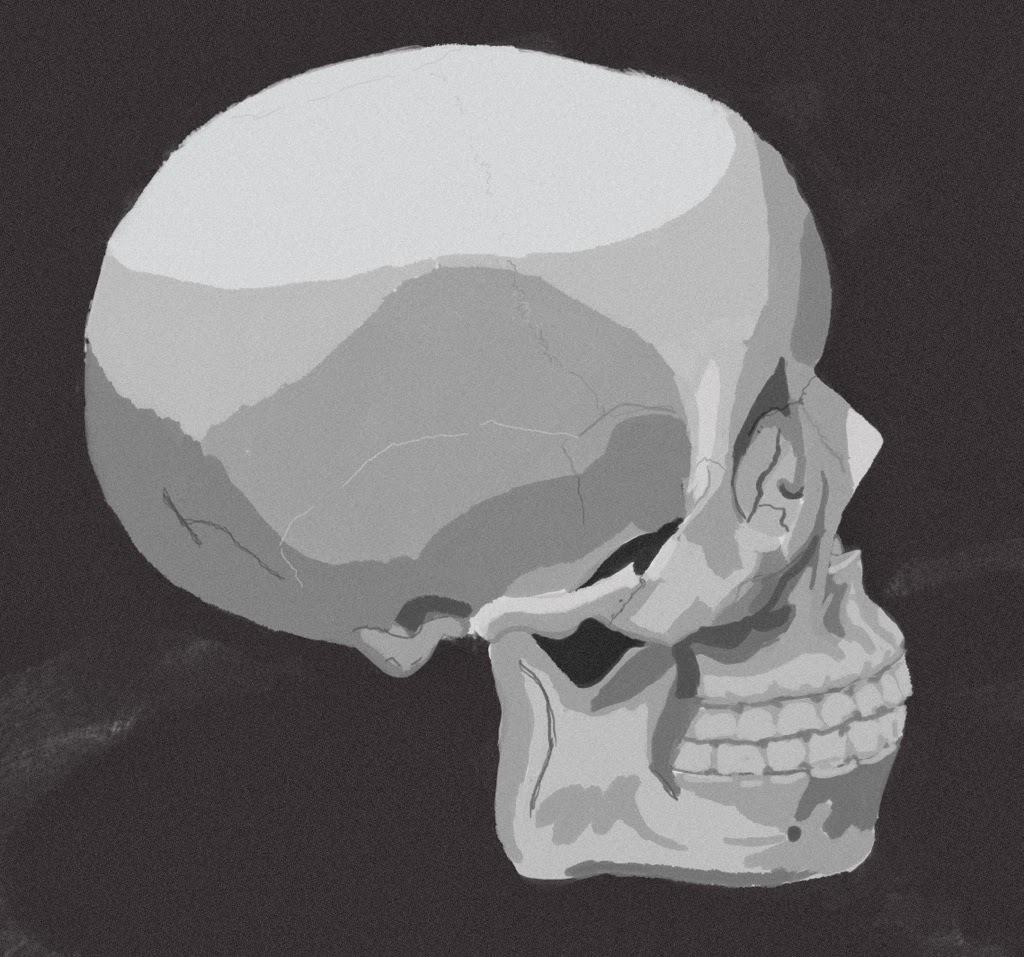 /2014/02/2014-02-28-profile-skull-painting-in-photoshop/2014-02-28_205214.jpg
